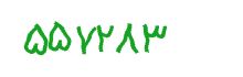 security code